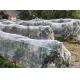 UV Protection Agriculture Insect Net Orchard Insect Mesh High Density Greenhouse Insect Net