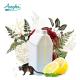 Electric Scent Diffuser Use Natural Plant Oils / 100 Pure Essential Oils