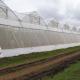 Crop Protection Fine Mesh Net Anti Insect Net Pest Greenhouse Net