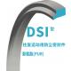 DSI Cylinder Dust Seal