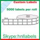 Thermal Transfer Labels 25mmX23mm/2 Plain Poly Roll Permanent, 5,000Lpr, 25mm core