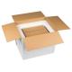 Cold Chain Packaging Phase Change Material Cooling PCM Cold Chain Box