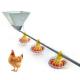 Original factory wholesale, flat chicken goose automatic feeding system, chicken duck feed line