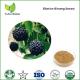 Siberian Ginseng Extract,eleutheroside b,siberian ginseng root extract,eleutheroside