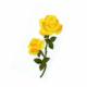 Fashion Iron On Embroidery Rose Patches Yellow Rose Flowered Appliques for Jeans
