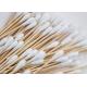 6 2's Sterile Disposable Medical Pure Cotton Swabs Cotton Tip Applicator