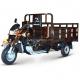 150cc Tricycle 200cc 3 Wheel Motorcycle 250cc Cargo Trike Motorized Driving Type 5.0