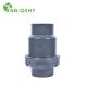 1/2-4 Plastic PVC One Way Flow Check Valve for Ordinary Temperature Water Industrial