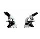 Medical 1000X Infinite Confocal Laser Scanning Microscopy  Binocular NCH - B1000