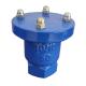 BS5163 DI Automatic Air Release Valve For Water Line PN10