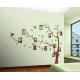 Creative Tree And Photo Removable Wall Stickers Vinyl For Lounge