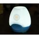 Factory supply Wireless Audio led quran speaker with Bluetooth LED Colorful Lamp ,English language,