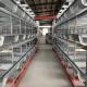 H Type Layer Chicken Cage Q235A Automatic 4 tiers Galvanized Wire