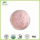 Spray Dried Watermelon Fruit Juice Concentrate Powder