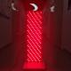 2000w Full Body Red Led Light Therapy 630nm 660nm 810nm 850nm Infrared Lights