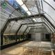 Commercial 30m Tunnel Light Deprivation Greenhouse
