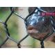 Polyester Fish Farm Woven Net | HESLY Aquaculture cage system | 2.5mmX45x50mm