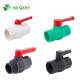 Highly Durable PVC One Way Plastic Valve Dn32 Thread Ball Valve with UV Protection