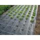 Black color Ground Cover with green line, Soil Moisture PP Agriculture Woven weed control fabric