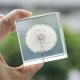 Custom clear epoxy real flower specimen acrylic dandelion paper weight