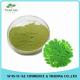 Hot Antitumor Lower Blood Sugar and Fat Product Moringa Leaf Extract