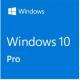 Microsoft Windows 10 Professional Workstation 5 User