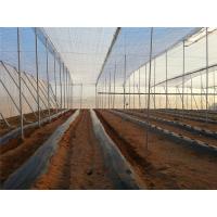 250 Meters Insect Screen Mesh ,100% HDPE Greenhouse Insect Protection Netting