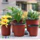 Crystal PET Plastic Garden Flower Pot for Garden Home Decoration