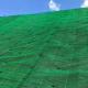 Vegetation 3D Geomat Erosion Control For Embankment