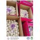 China fresh garlic export to Angola with 4.5-5.0cm 10kg loose packing carton.