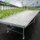 1.2mm Greenhouse Benches Rolling Tables Customized Size