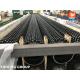 Carbon Steel Seamless Pipe, ASTM A106 GR.B Studded Tube, For Radiant Tube in Furnace