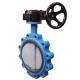 Gas Media Lug Concentric Butterfly Valve with Customizable Port Size and Soft Seal