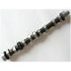 Camshaft for Weifang Ricardo Engine 295/495/4100/4105/6105/6113/6126 Engine Parts
