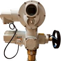 OEM Intelligent Adjustment Electric Valve Actuator Electric Linear Actuator