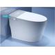 Color Gray CE One Piece Sanitary Ware Automatic Cleaning And Heating