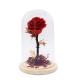 Everlasting Rose In Glass Dome Gift For Thanksgiving Christmas Valentine'S Day