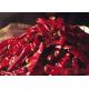 Sweet Erjingtiao Dried Chilis 12% Moisture Erjingtiao Pepper With Stem