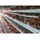 4 Tiers 128 Capacity H Type Layer Chicken Cage For Commercial Chicken Farm