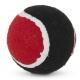Dogzilla Tuff Tennis Ball for Pets, Medium, Black and Red