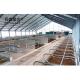 Aluminum Alloy Window and Q345 Prefab Steel Cow Farm Building for Dairy Cow House