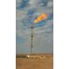 Coal - Chemical Industry Elevated Flare System Based On Vent Gas Treatment Capacity