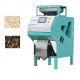 Easy Operation Seeds Sorting Machine 99.99% Accuracy With Touch Screen Interface