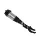 2923204513 1663206866 Airmatic Suspension Shock Absorber For C292 W292 Mercedes Benz