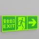 Rectangle Subway Photoluminescent Signage Fire Evacuation Door Signs