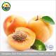 100% Natural Freeze Dried Apricot Dice freeze dried fruit convinient food