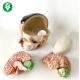 Structural Brain Anatomy Model Cranial Artery Anatomical 20X18X18 Cm Package