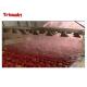 Tomato Ketchup Manufacturing Plant / Tomato Sauce Making Plant Filling Type Available