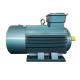 Industrial LV Squirrel Cage Motor Induction Air Compressor Electric Motor IP55