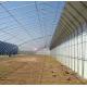 Irrigation and Ventilation System for Shading Cucumber Planting in Sunlight Greenhouse